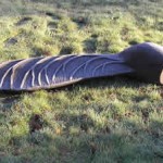 sycamore wing, sculpture, solid oak, garden sculpture, bespoke, hand carved, outdoor art, sustainably sourced, green artwork,