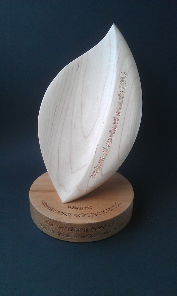 Nature of Scotland Awards 2013, elm, sycamore, Scottish, sustainable, hand made, bespoke, custom made,award design,